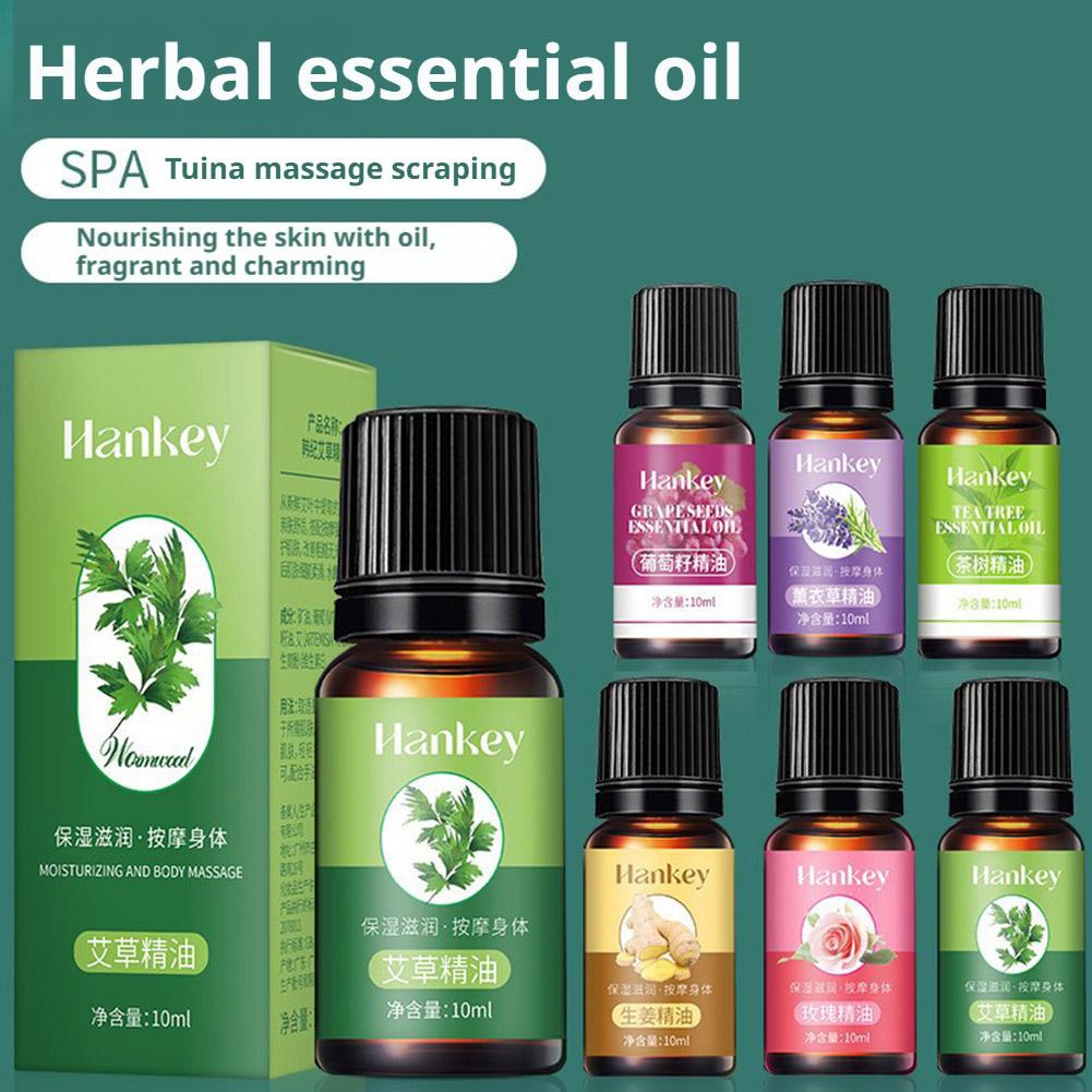 Lavender Oil - น้ำมันนวดตัว 10 มล. สารสกัดจากเมล็ดองุ่น, โกฐจุฬาลัมพา, ลาเวนเดอร์,