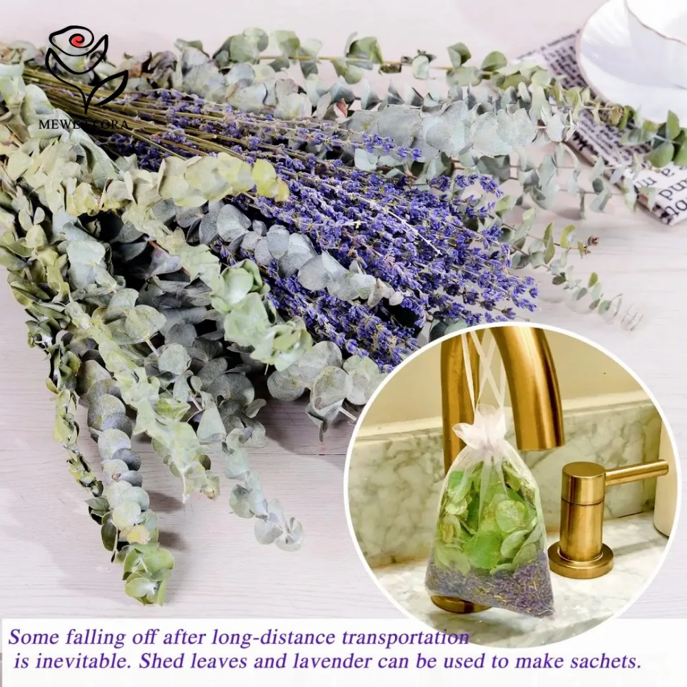 30 ชิ้นดอกไม้แห้ง Preserved Eu - Dried Herbs บทวิจารณ์และราคา