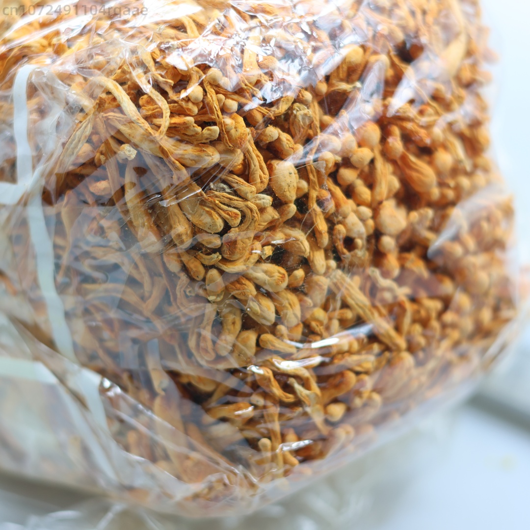 ดอกถั่งเช่าแห้งธรรมชาติคุณภาพพ - Chamomile Tea บทวิจารณ์และราคา